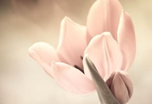 Skin & Hormonal Health